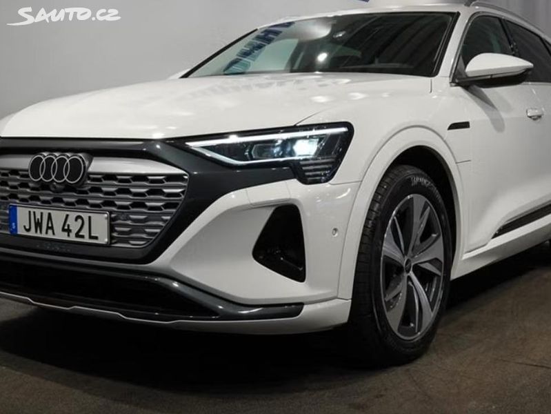 Audi Q8 e-tron, 55 Q Panorama Kamera Ambient